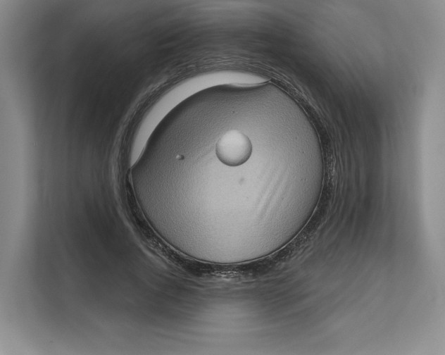 X0000111620736200908071350