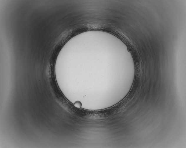 X0000111620738200908071350