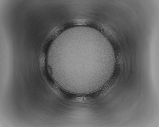 X0000111620744200908071350