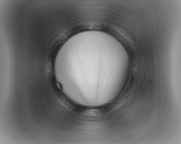 X0000111620748200908071350