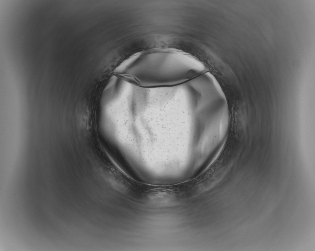 X0000111620750200908071350