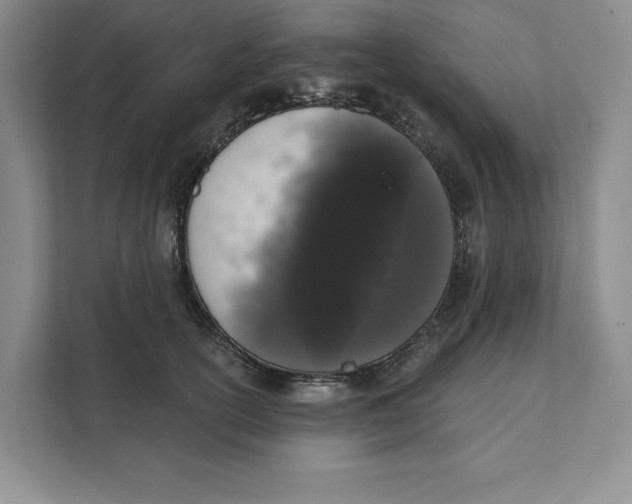 X0000111620754200908071350