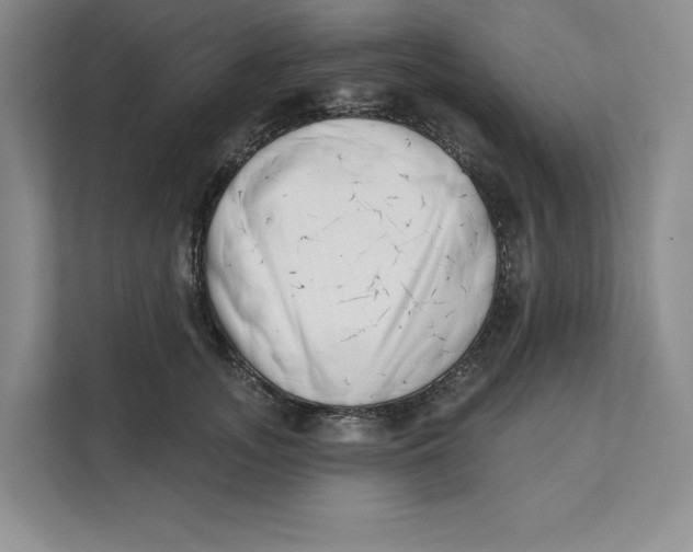 X0000111620755200908071350