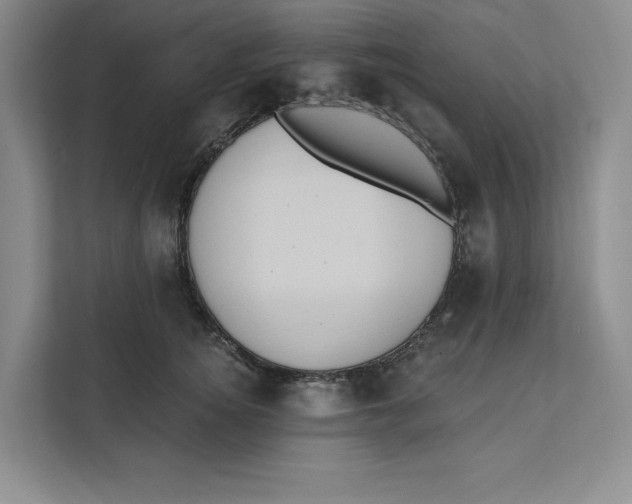 X0000111620756200908071350