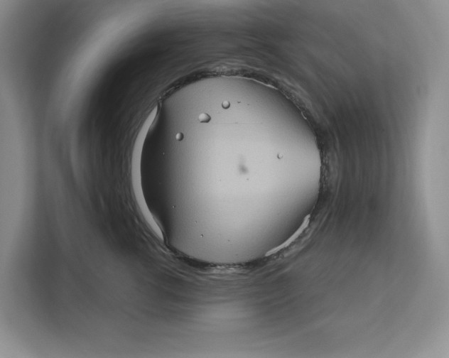 X0000111620762200908071350