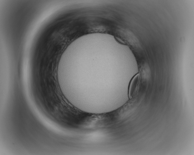 X0000111620764200908071350