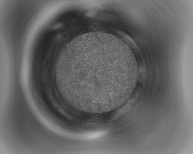 X0000111620765200908071350