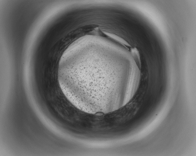 X0000111620766200908071350