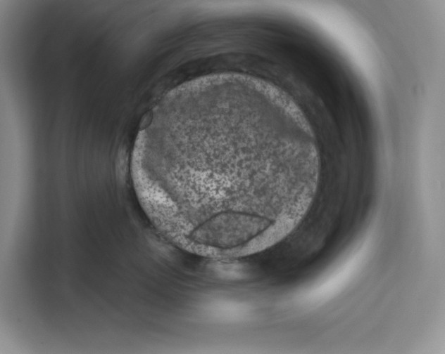 X0000111620767200908071350