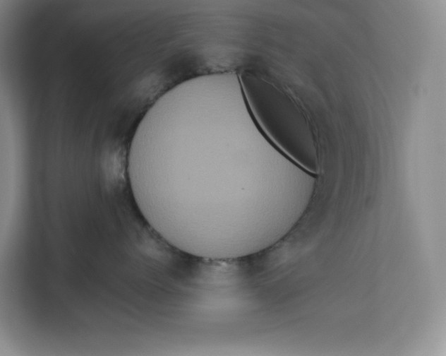 X0000111620768200908071351