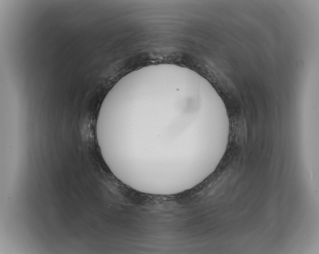 X0000111620770200908071350