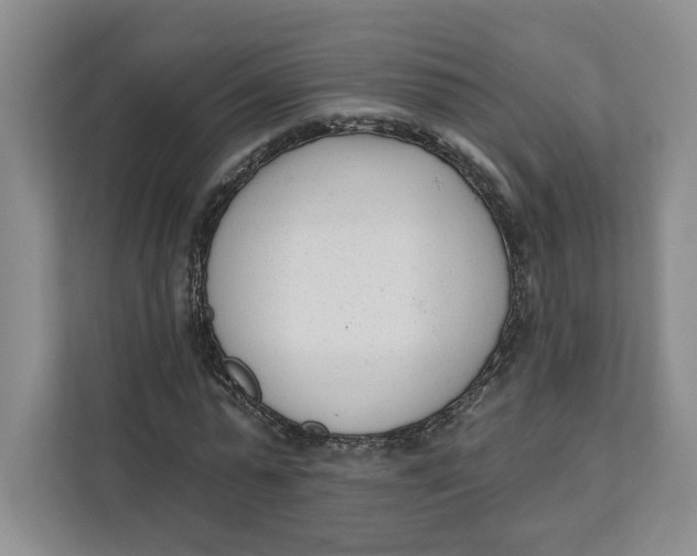 X0000111620775200908071350