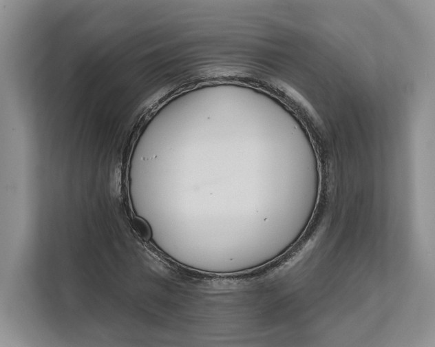 X0000111620777200908071350