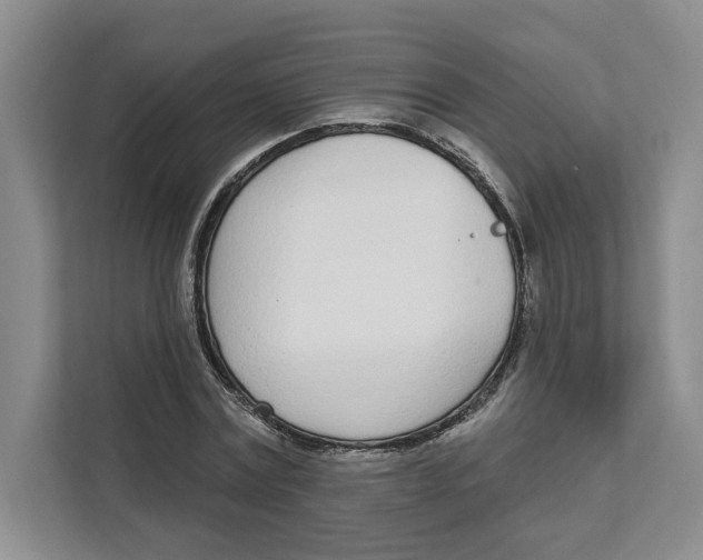 X0000111620779200908071350