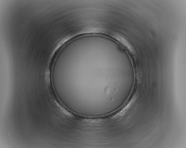 X0000111620781200908071350