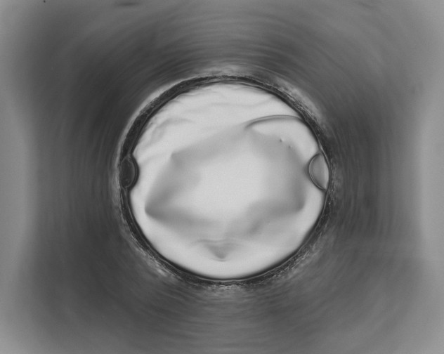 X0000111620784200908071350