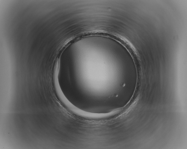 X0000111620785200908071350