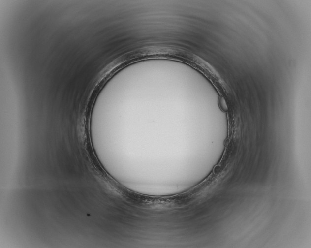 X0000111620786200908071350