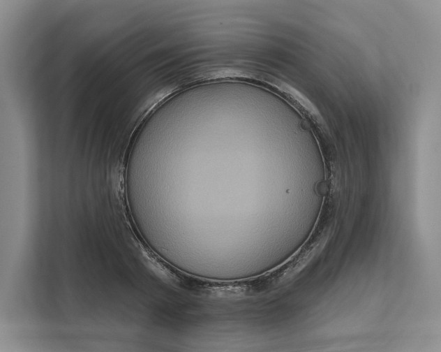 X0000111620793200908071350