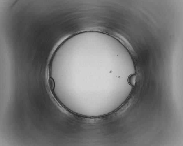 X0000111620804200908071349