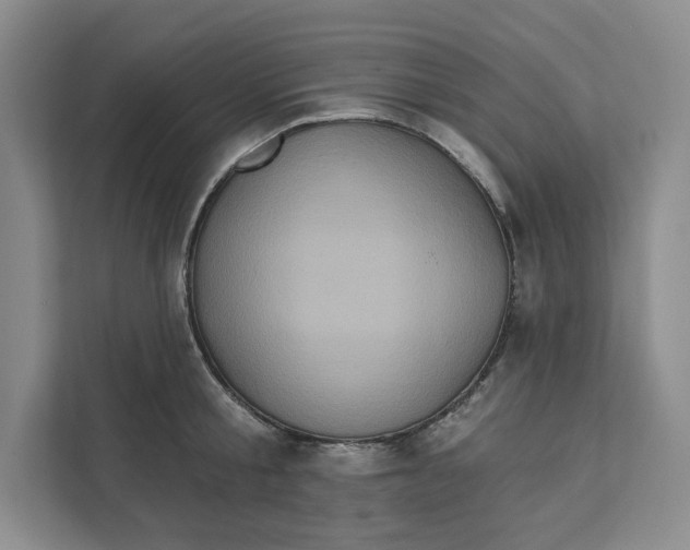 X0000111620805200908071349