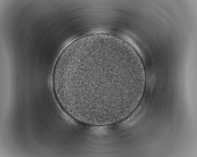 X0000111620810200908071349