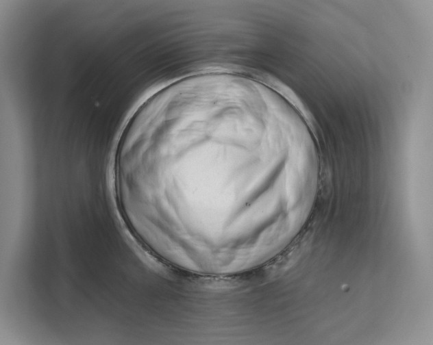 X0000111620811200908071349