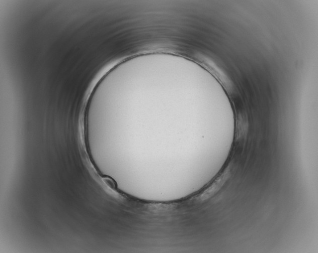 X0000111620812200908071349