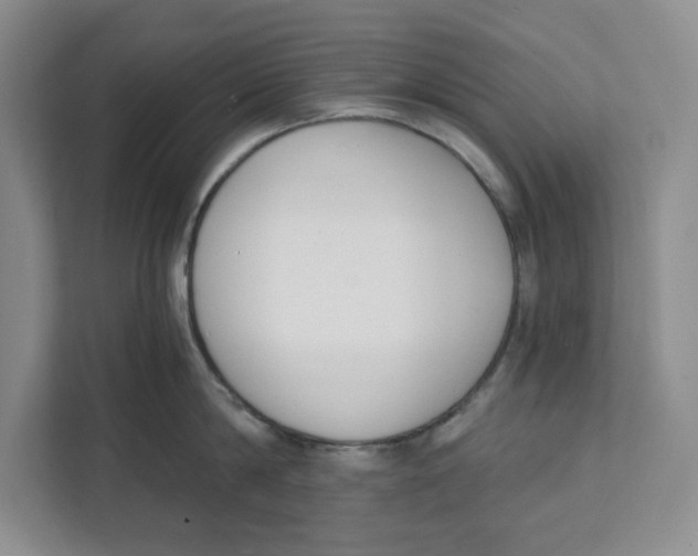 X0000111620814200908071349