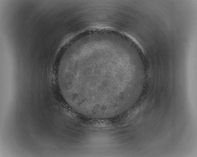 X0000111620823200908071349