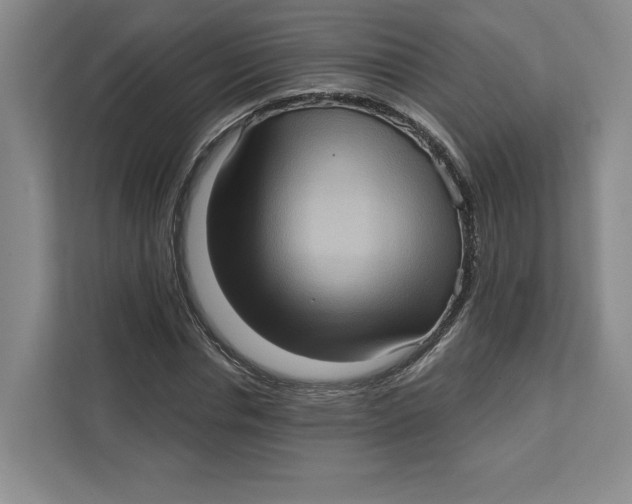 X0000111620826200908071349