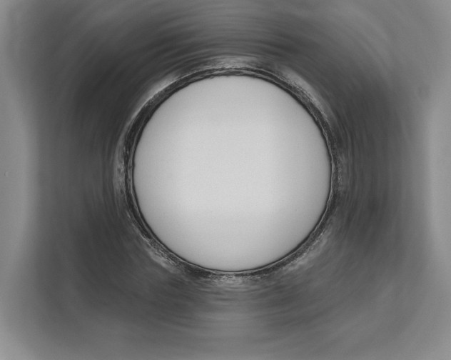 X0000111620827200908071349