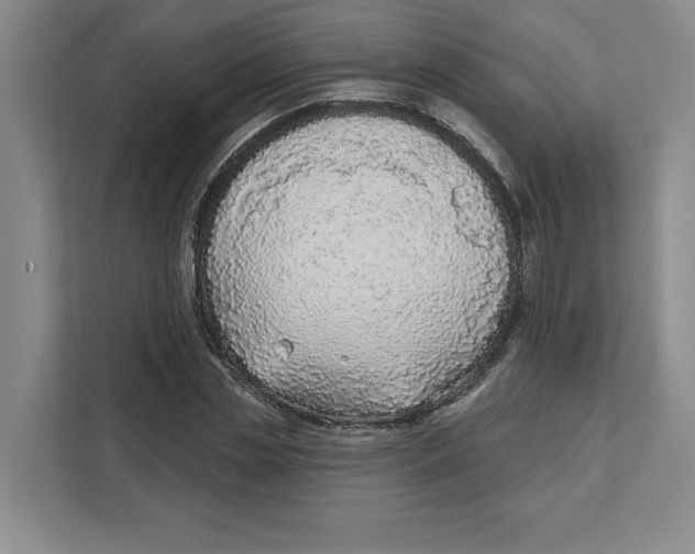 X0000111620829200908071349