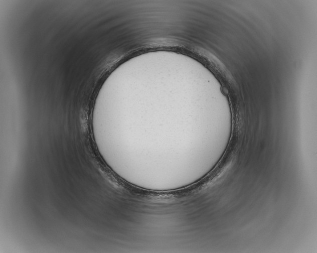 X0000111620833200908071349