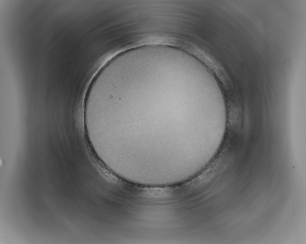 X0000111620836200908071349