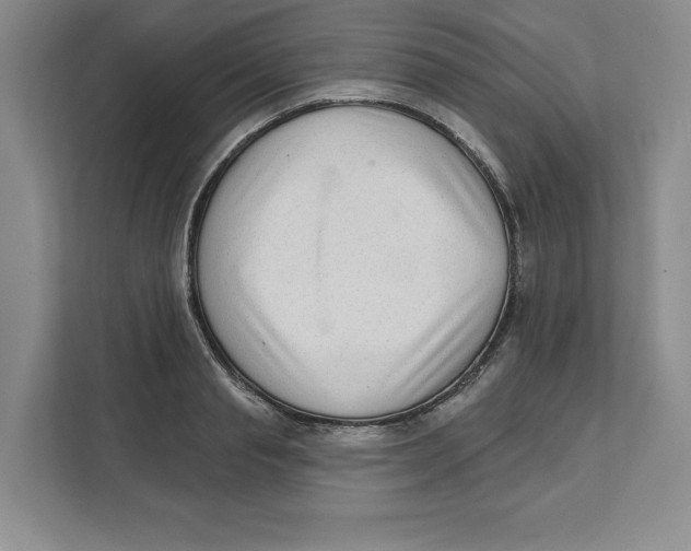 X0000111620845200908071349