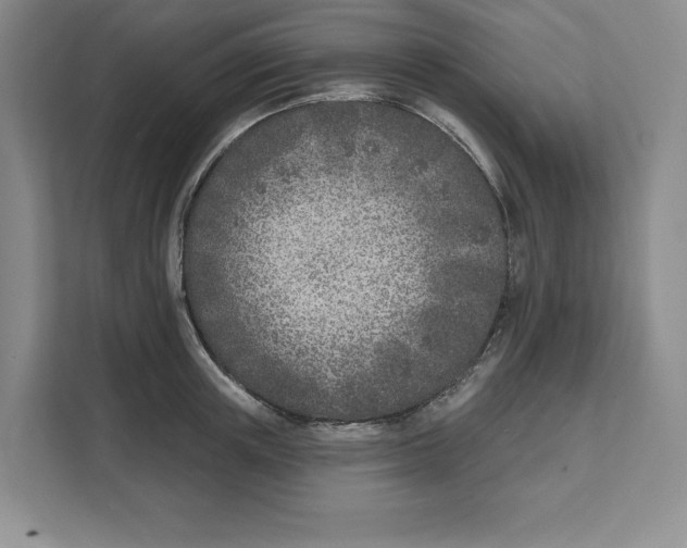 X0000111620851200908071349