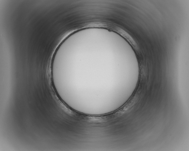 X0000111620852200908071349