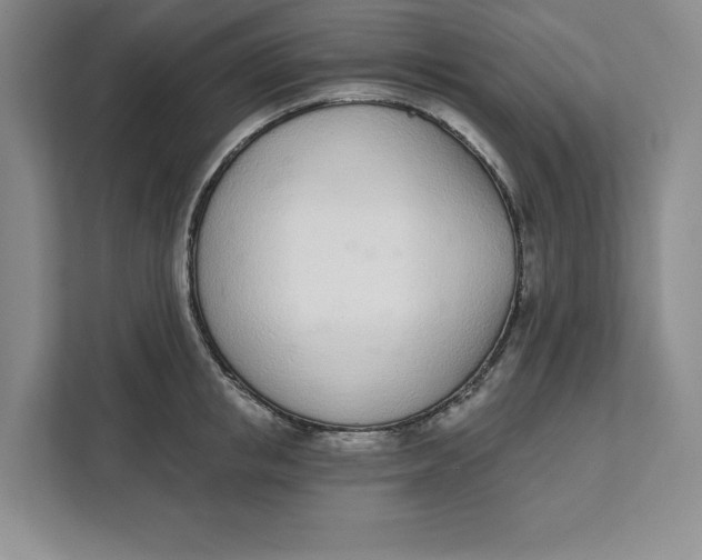 X0000111620853200908071349