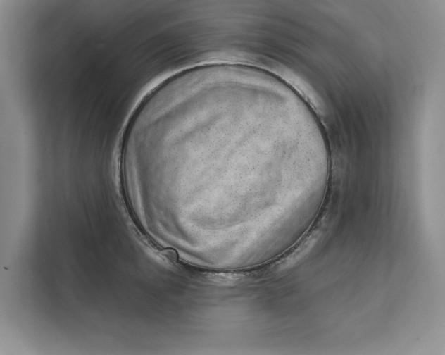 X0000111620854200908071349