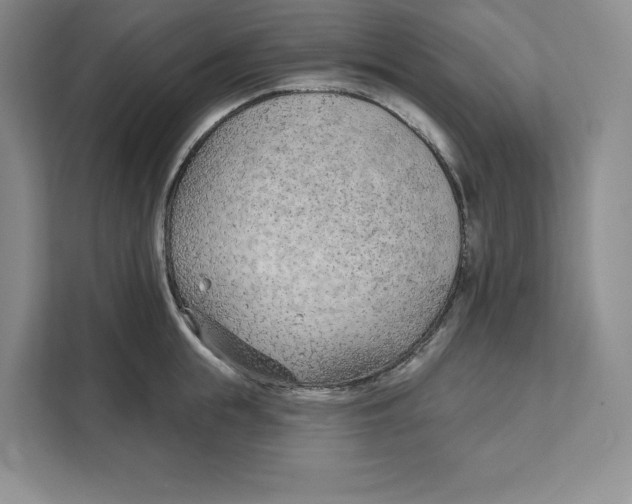 X0000111620855200908071349