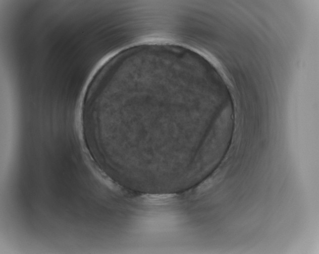 X0000111620864200908071349