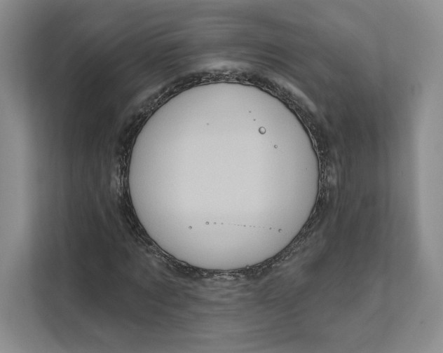 X0000111620869200908071349