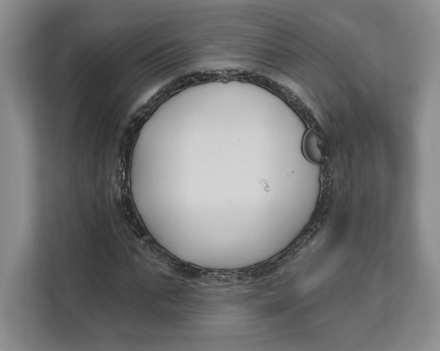 X0000111620871200908071349