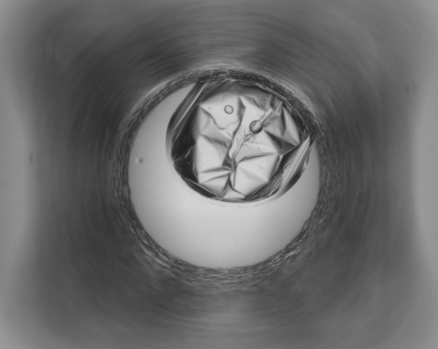 X0000111620872200908071349