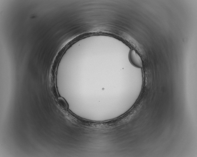 X0000111620876200908071348