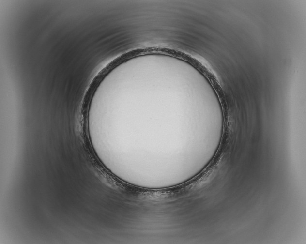 X0000111620879200908071348