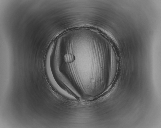 X0000111620881200908071348