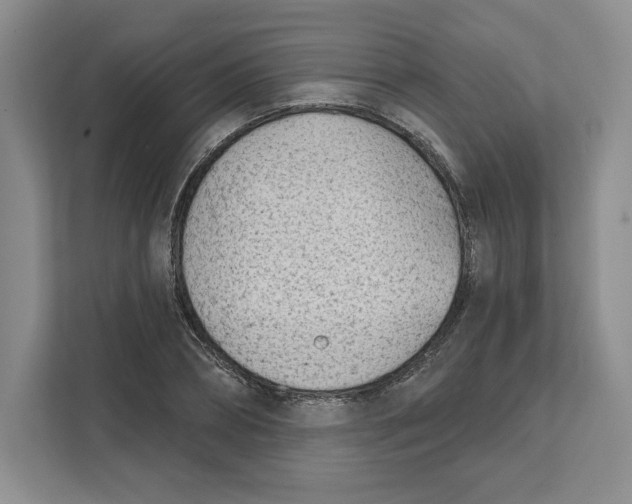 X0000111620882200908071348