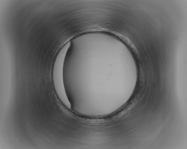 X0000111620889200908071348